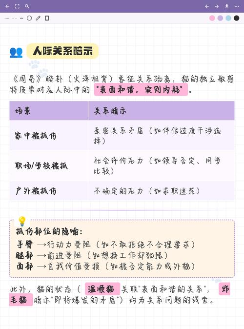 梦见被猫抓伤，这预示着什么不祥的征兆或即将发生的不幸？