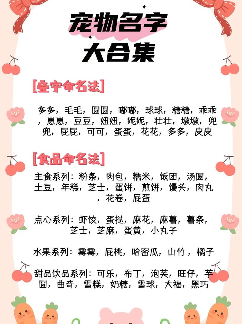 仓鼠起什么名字既可爱又洋气呢？