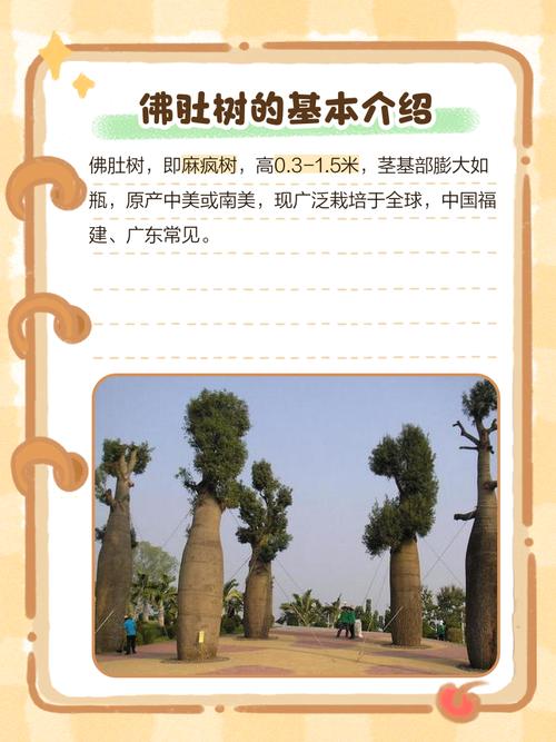梦见佛祖树枝有什么特殊预兆或含义？