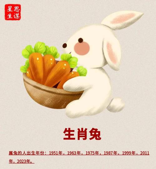 202年出生的人属什么？202年兔年出生的人是什么命？