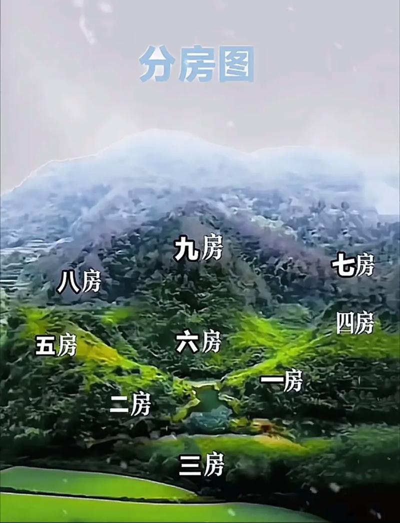 玄空大卦风水分房法具体是如何根据风水原理进行房间布局的？