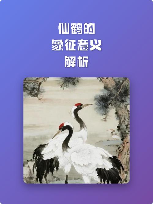 鹤的象征意义究竟包含了哪些深远的寓意？