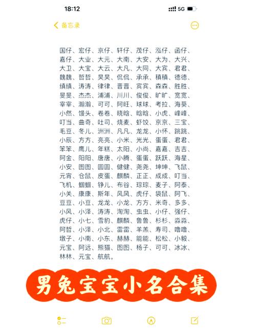 2023年属兔男宝宝取什么名字大全集推荐？