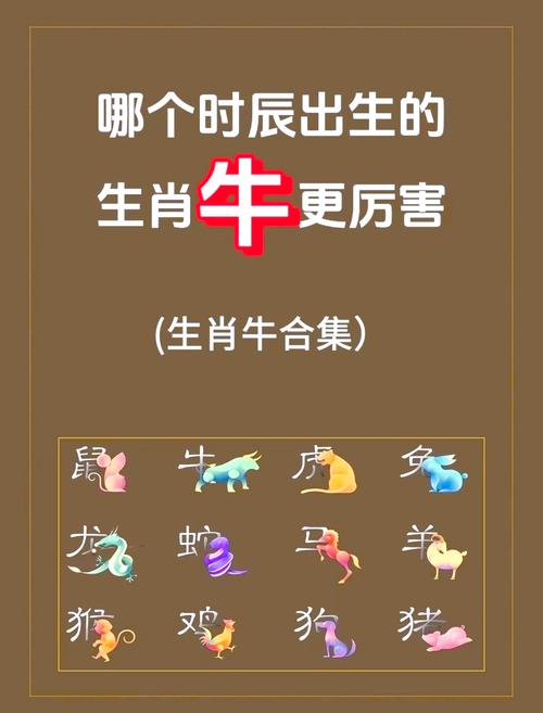 属牛人哪个时辰出生蕞幸福，生活蕞为惬意呢？