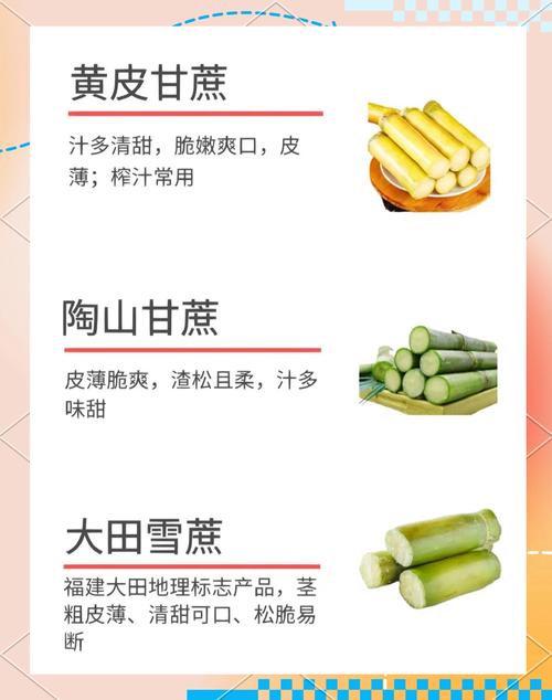 梦见成熟的甘蔗预示着什么是周公解梦中的大丰收吉兆吗？