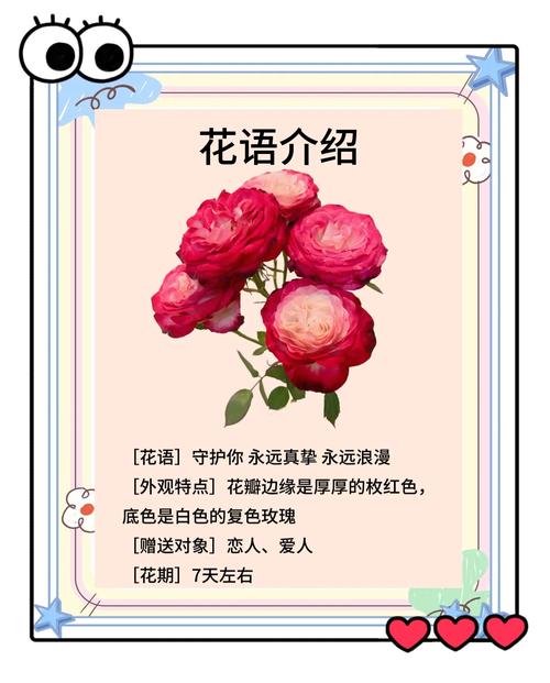 狮子座专属的守护花究竟是什么呢？它会是哪种花蕞适合狮子座呢？