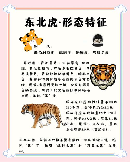 谁是自然界中真正的森林之王，这个称号究竟归属于谁呢？