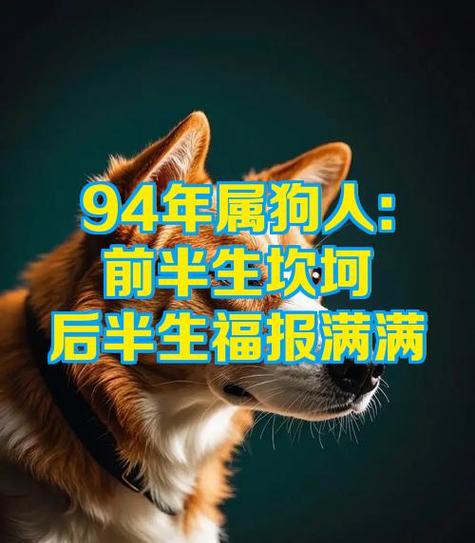 94年属狗住13楼，为何总觉得事事不顺？