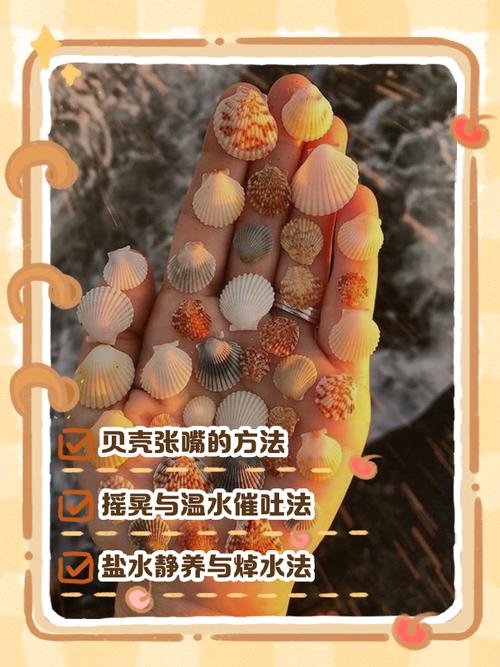 梦见贝壳被撬开，贝壳开了和破了有什么忒别的讲究或寓意？