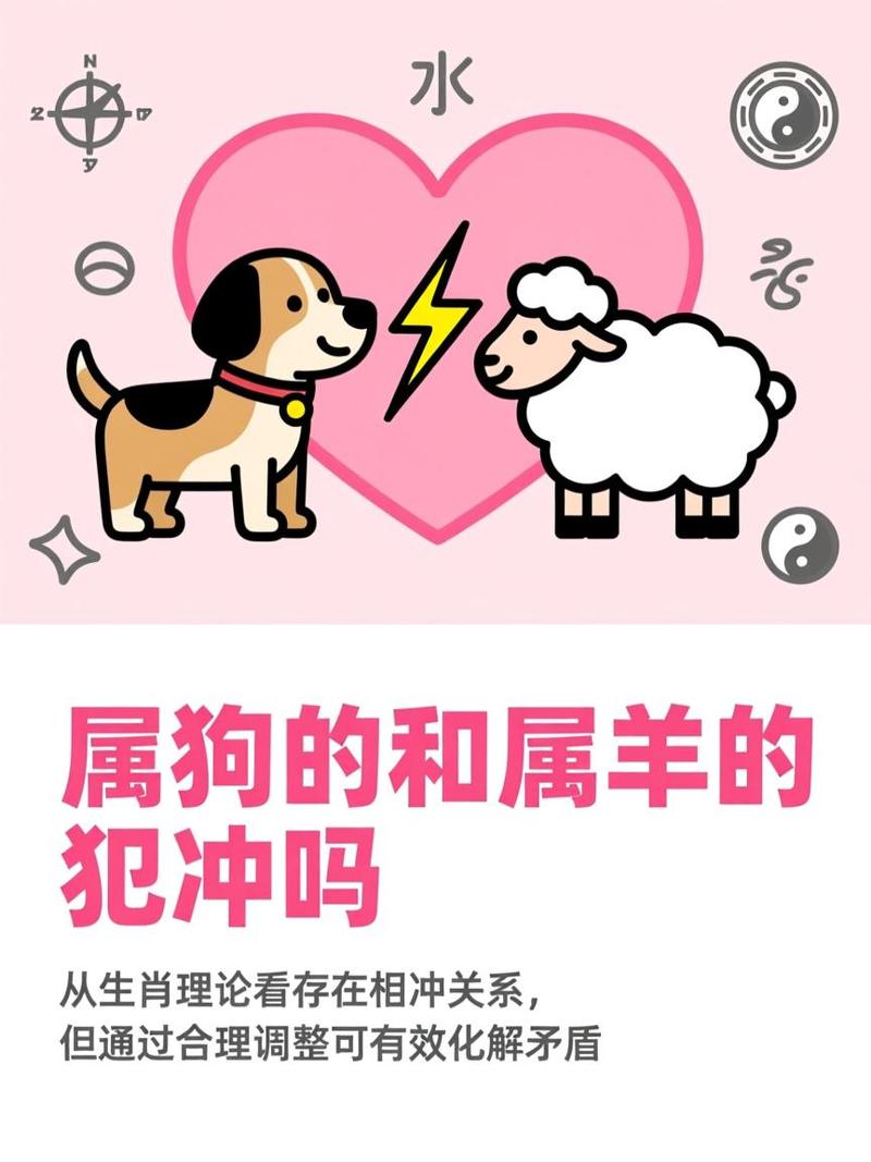 狗与哪个属相相冲呢？这可是个有趣的问题哦！