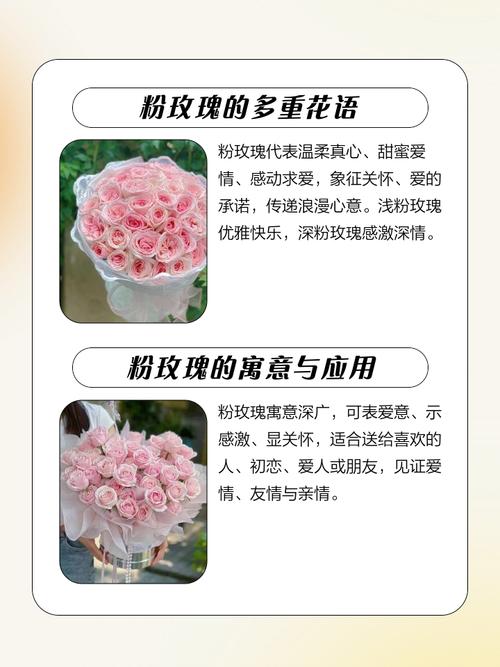 粉色玫瑰花究竟象征着怎样的情感寓意？