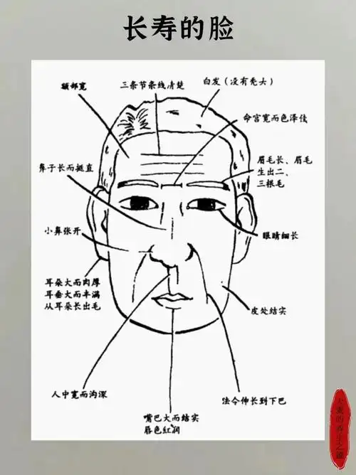 面相中哪些特征会影响人的寿命？