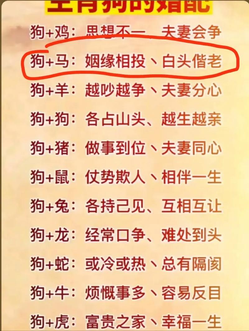 属马和属狗恋爱，他们的婚配关系是否和谐美满？