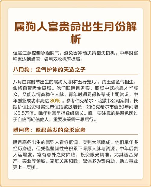 2007年属狗的命格究竟是什么？
