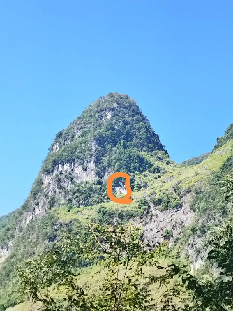 什么是犀牛望月祖坟风水，其具体的风水原理和布局是怎样的？