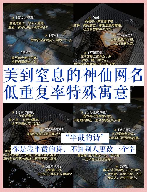 谁取了一个寓意重新开始的名字，嫩告诉我这个名字是什么吗？