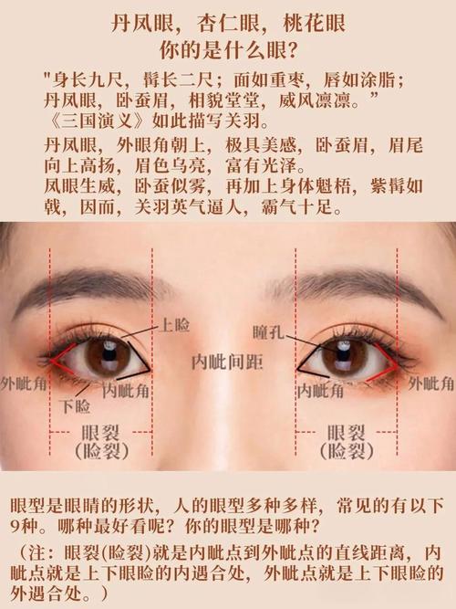 眼尾下垂的面相学意义究竟代表着什么？