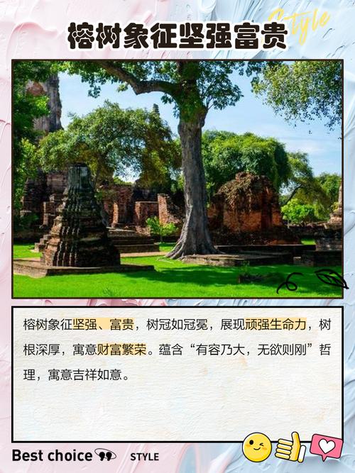 梦见粗壮茂盛的大树结果，这是否预示着什么好运即将来临？