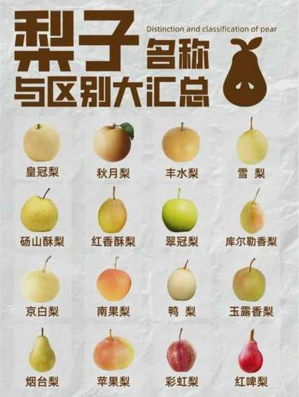 周公解梦纷争梨子是什么预兆？梦见梨子有什么特殊含义？