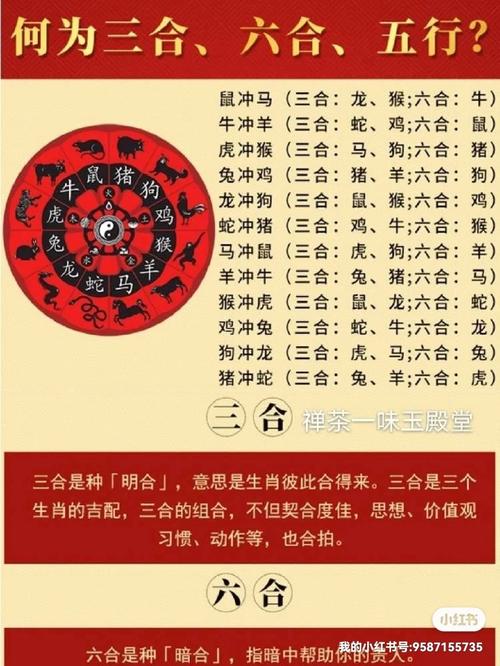 十二生肖中属兔子的财运如何？兔子的三合六合生肖是什么意思？