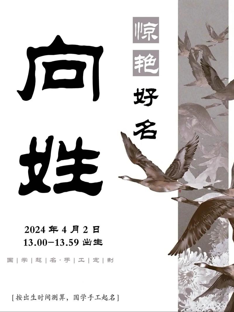 取名字用向字寓意男孩，有没有什么好建议？
