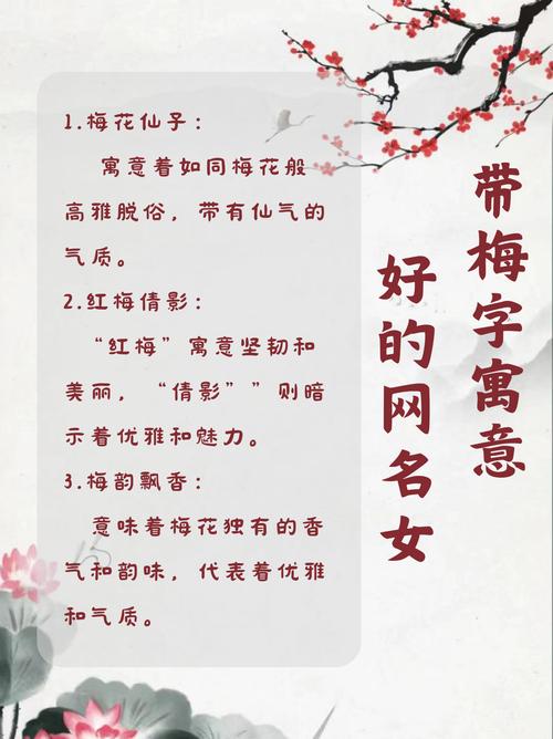 梅字取名有什么忒别的寓意或象征意义？