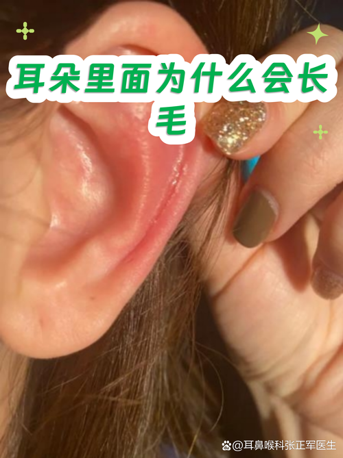 耳朵里长毛的人命运如何，是吉是凶？