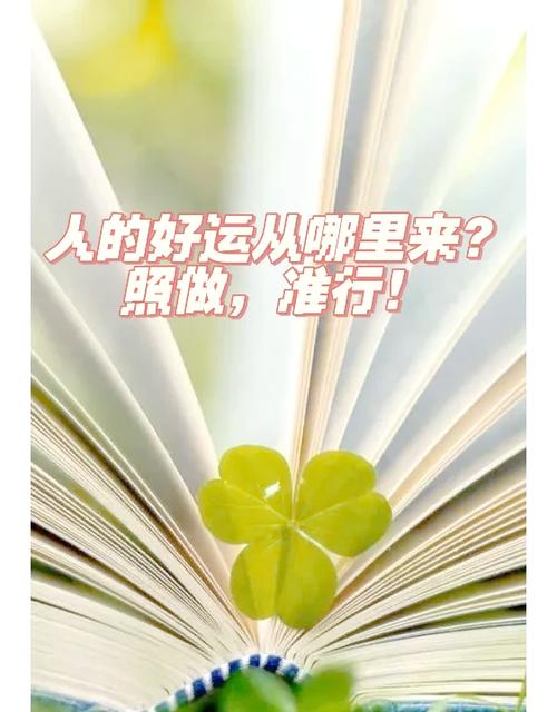 随和的人去哪里都能遇到好运吗？