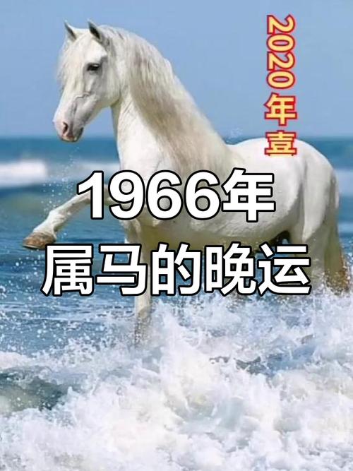 1966年属马的人2021年财运如何变化？