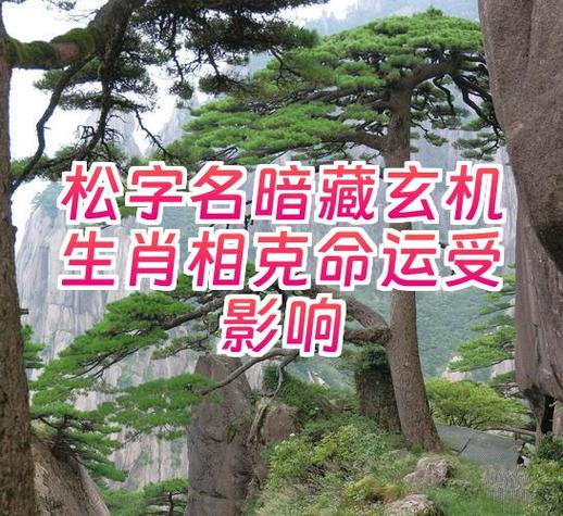 松属的五行属性用松字取属木的名字，那么这个属木的名字是什么？