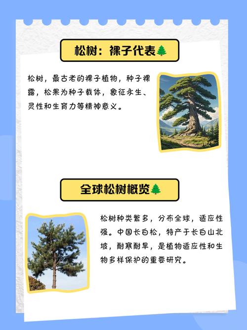 松树在五行中究竟属于哪一种属性？它的五行属性是什么？