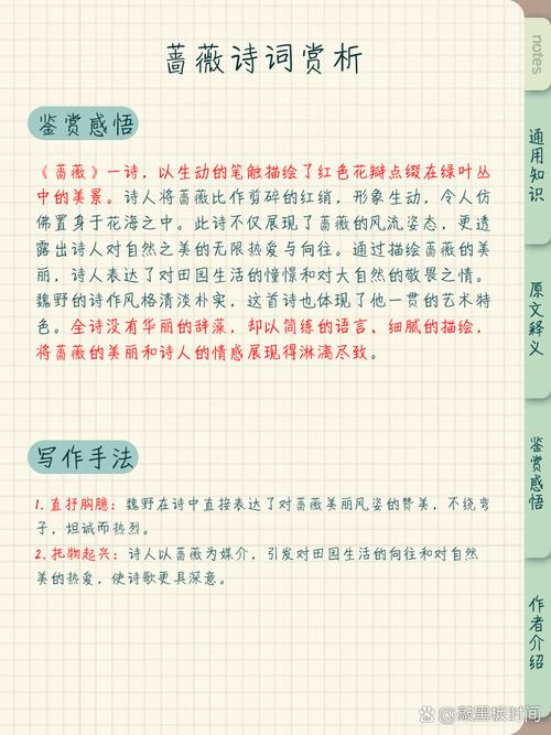 蔷字取名寓意是什么意思？