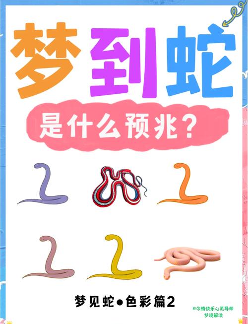 梦见蛇突然出现吓醒我，这究竟是什么预兆或暗示呢？