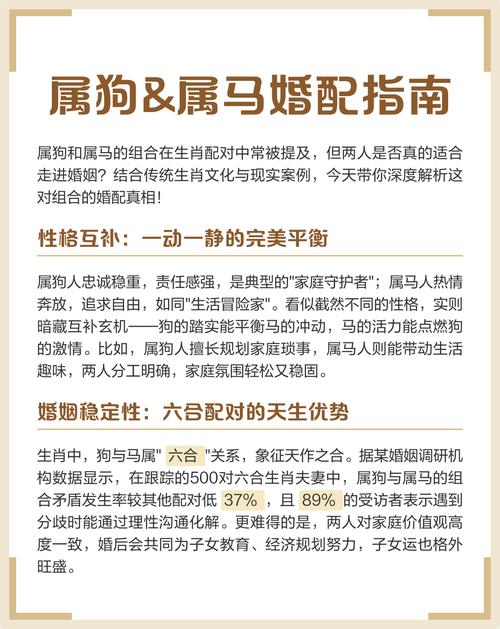 属马和属狗的婚姻财运如何？合作是否顺利？