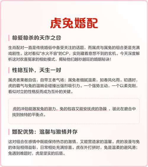 属兔和属虎的合不合，他们配对的优点有哪些？