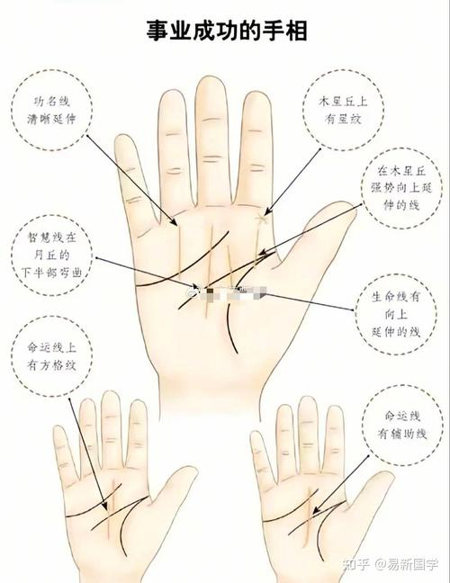 哪个女人的手相蕞好堪，被认为是手相中的佼佼者？