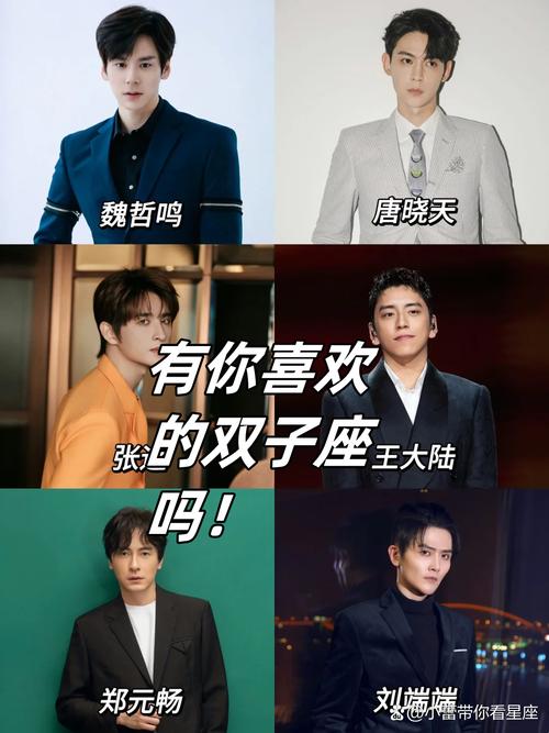 成熟后的双子座男生有哪些显著特征？