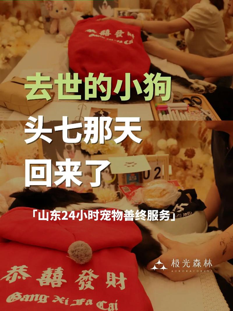 狗狗离世后究竟何时能完成轮回转世，实现灵魂的投胎？