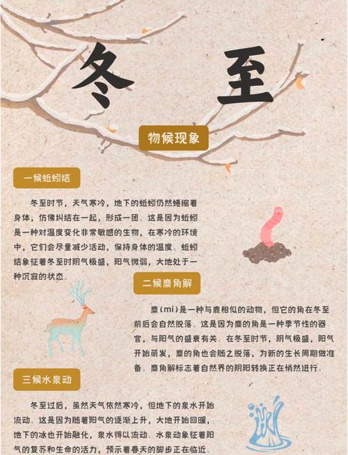 冬至出生的人命运如何？这个特殊日子有何特殊含义？