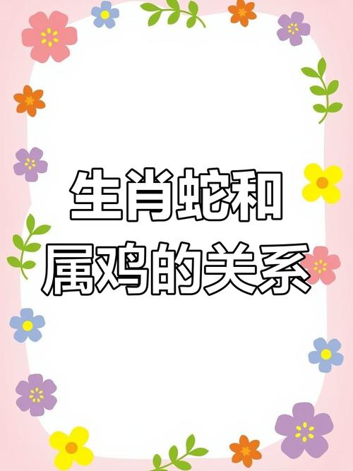 属蛇和属鸡的个性是否相投，他们的属相合得来吗？