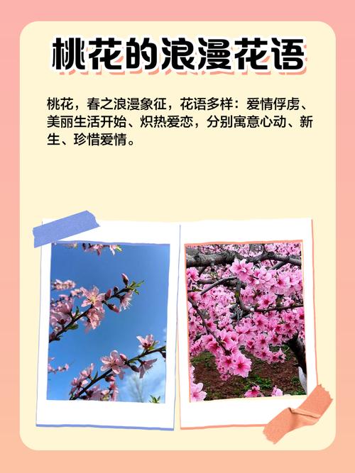 晚上做梦梦见桃花是什么预兆或有什么特殊含义？