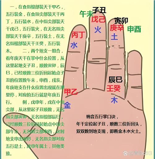 手指天干地支五行对照表，手指分别对应哪一五行？