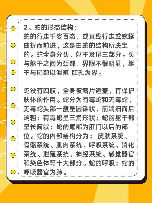 哪个生肖的动物被认为是反常的，它的最佳生肖是什么？