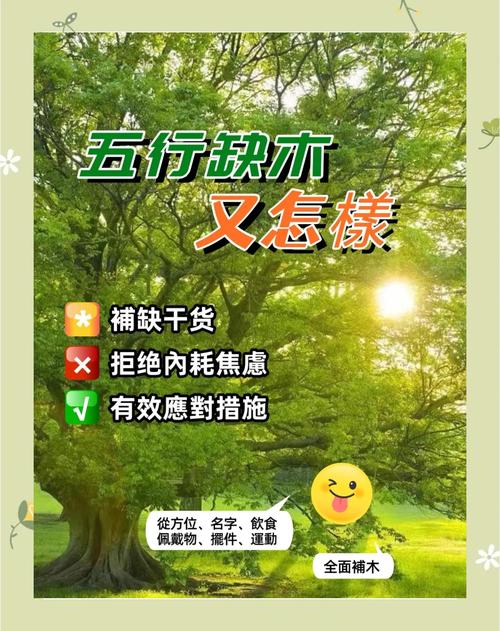 五行火旺缺木如何通过补木来平衡和化解？