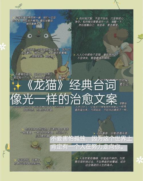 龙猫讲述的道理是什么它传达了怎样的生活哲学或人生智慧？