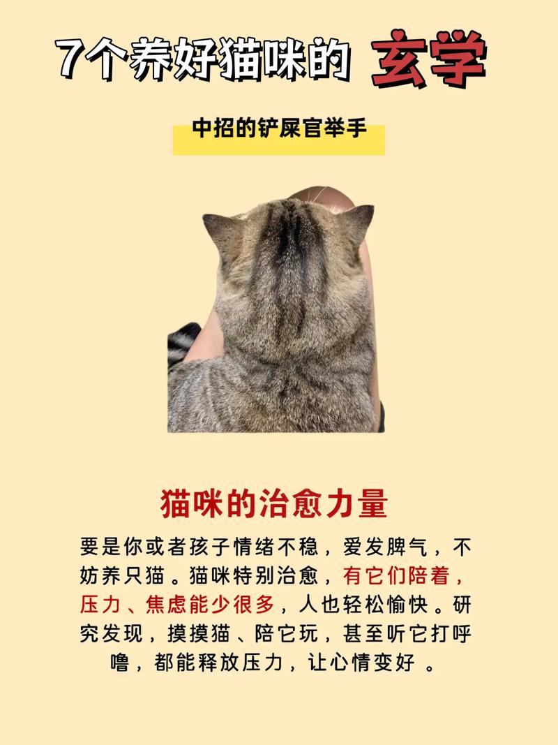 遇到野猫会带来怎样的好运或风水影响呢？