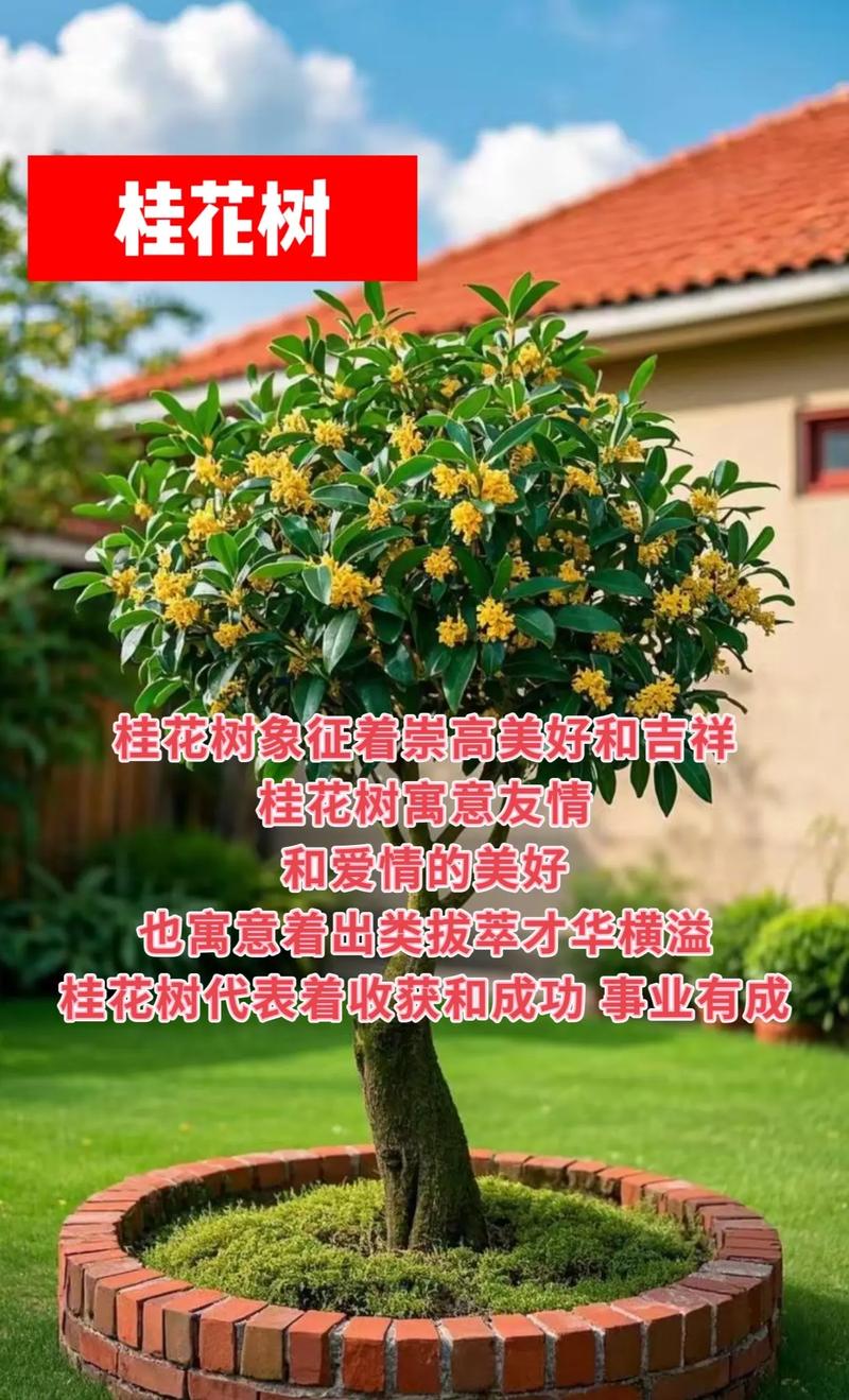 孕妇梦见花草树房子，怀孕孕妇梦见房子和树是什么预兆？