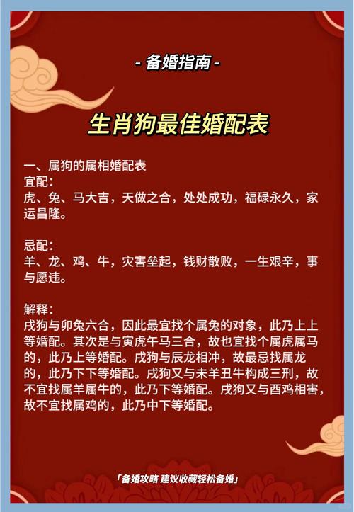 属狗男宠女友有哪些具体表现？