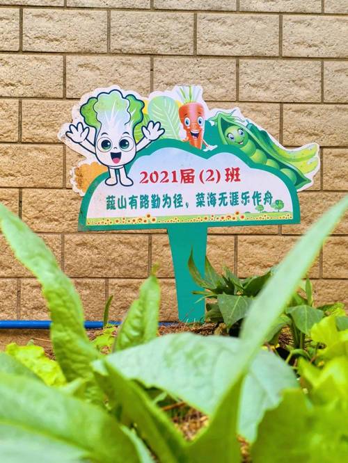 学校小菜园创意名字有哪些，可以起个什么有趣的名字呢？
