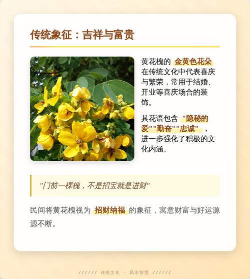 风水上槐树是镇宅还是招鬼，其寓意究竟偏向哪一方？